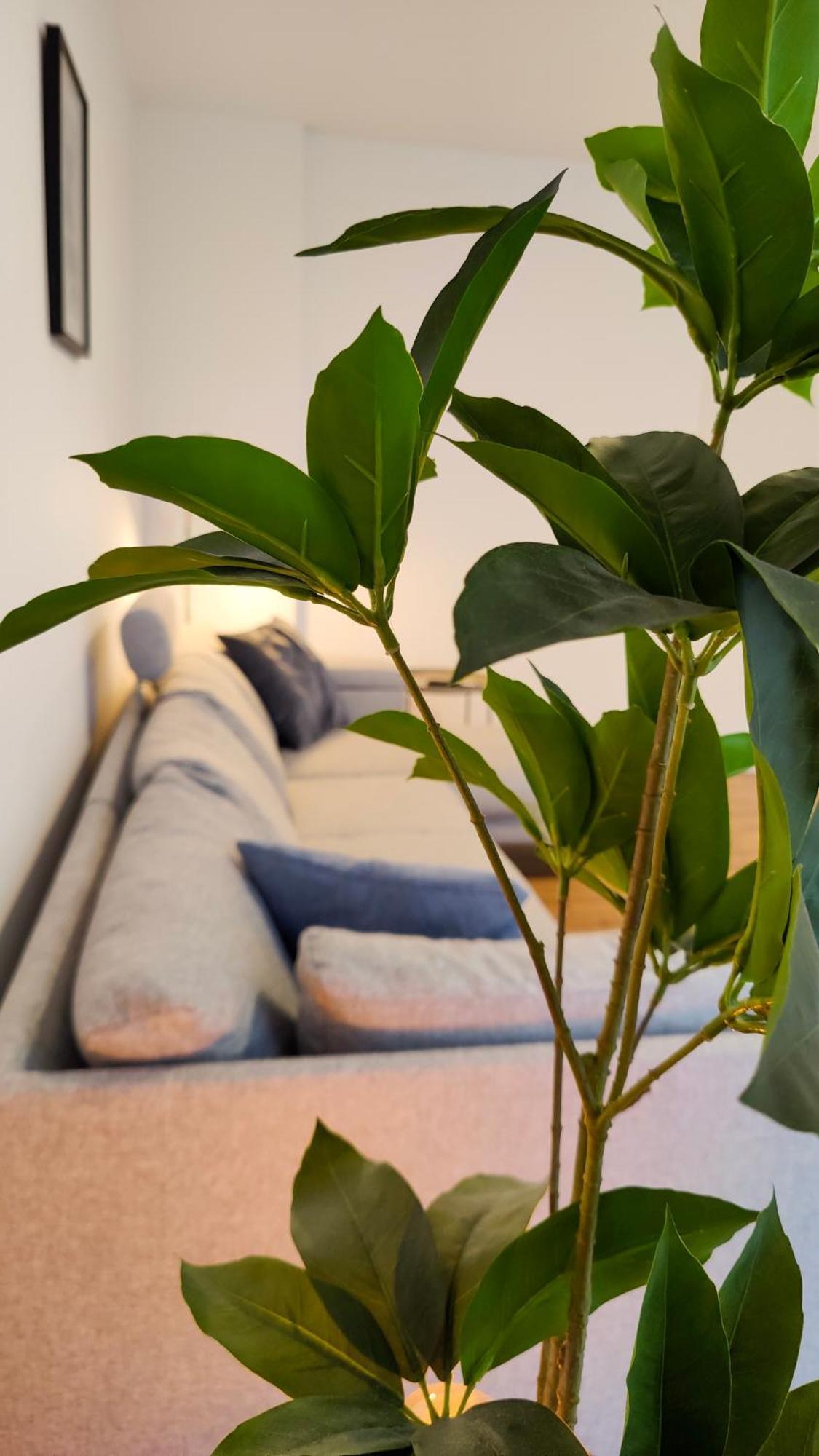 Hygge Home - Mit Garten Und Stellplatz Fuer Feriengaeste-, Monteure / Netflix / 10 Min. Zur Sinsheim Therme Und Zur Autobahn Eksteriør billede
